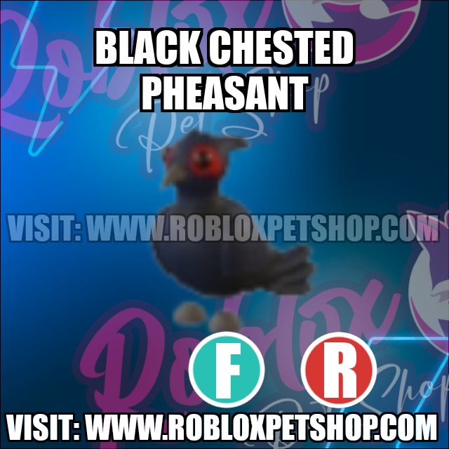 Black Chested Pheasant FLY RIDE Adopt Me
