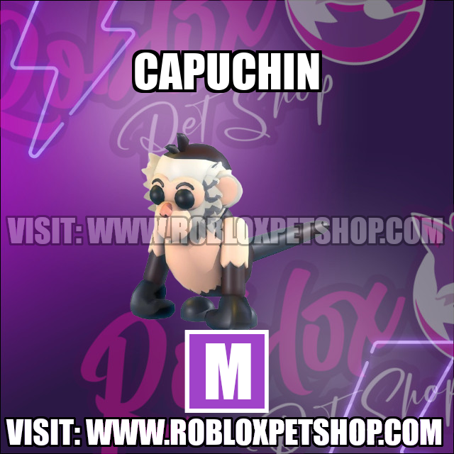 Capuchin Monkey Mega Adopt Me