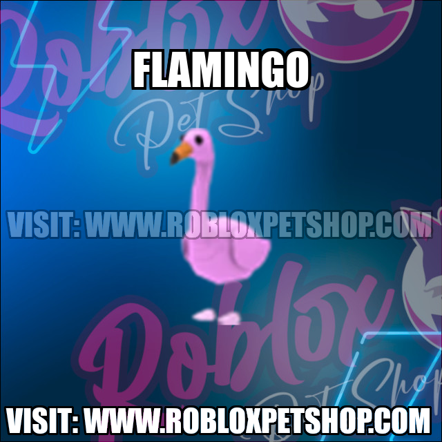 Flamingo NO POTION Adopt Me