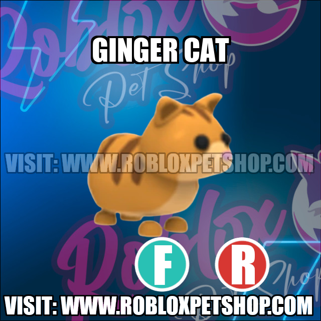 Ginger Cat NO POTION Adopt Me