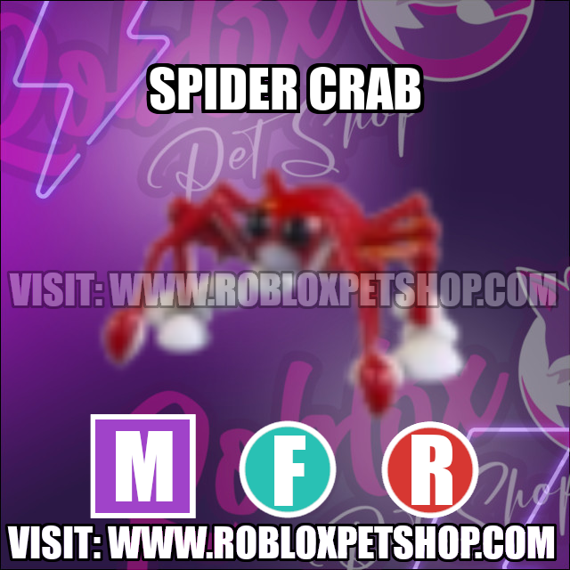 Spider Crab MEGA FLY RIDE Adopt Me