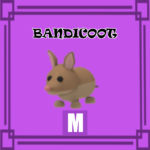 Bandicoot MEGA NO POTION Adopt Me