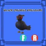 Black Chested Pheasant NORMAL FLY RIDE Adopt Me