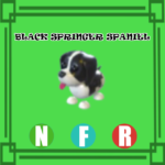 Black Springer Spaniel NEON FLY RIDE Adopt Me