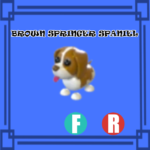 Brown Springer Spaniel NORMAL FLY RIDE Adopt Me
