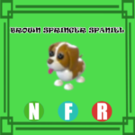 Brown Springer Spaniel NEON FLY RIDE Adopt Me