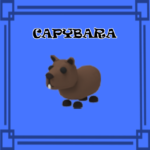 Capybara NORMAL NO POTION Adopt Me