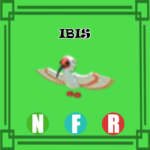 Ibis NEON FLY RIDE Adopt Me