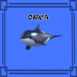 Orca NORMAL NO POTION Adopt Me
