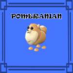Pomeranian NORMAL NO POTION Adopt Me