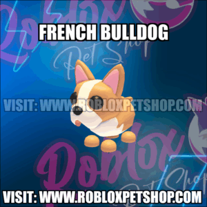 French Bulldog NO POTION Adopt Me
