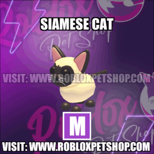 Siamese Cat MEGA Adopt Me