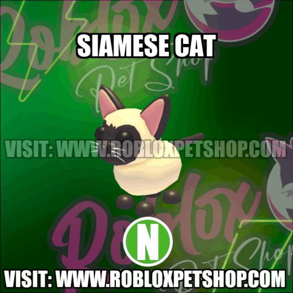 Siamese Cat NEON Adopt Me