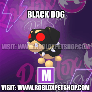 Black Dog MEGA Adopt Me