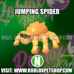Jumping Spider NEON Adopt Me