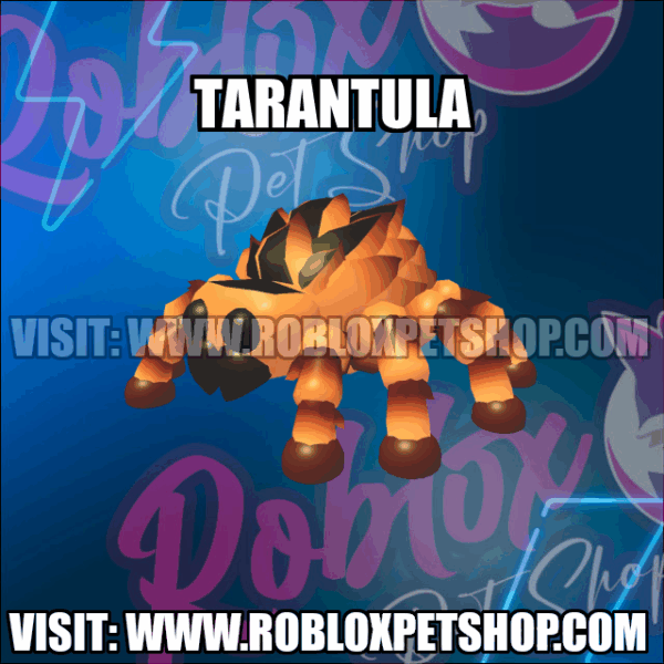 Tarantula NO POTION Adopt Me