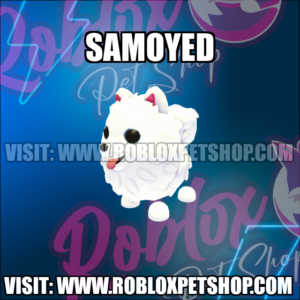 Samoyed NO POTION Adopt Me